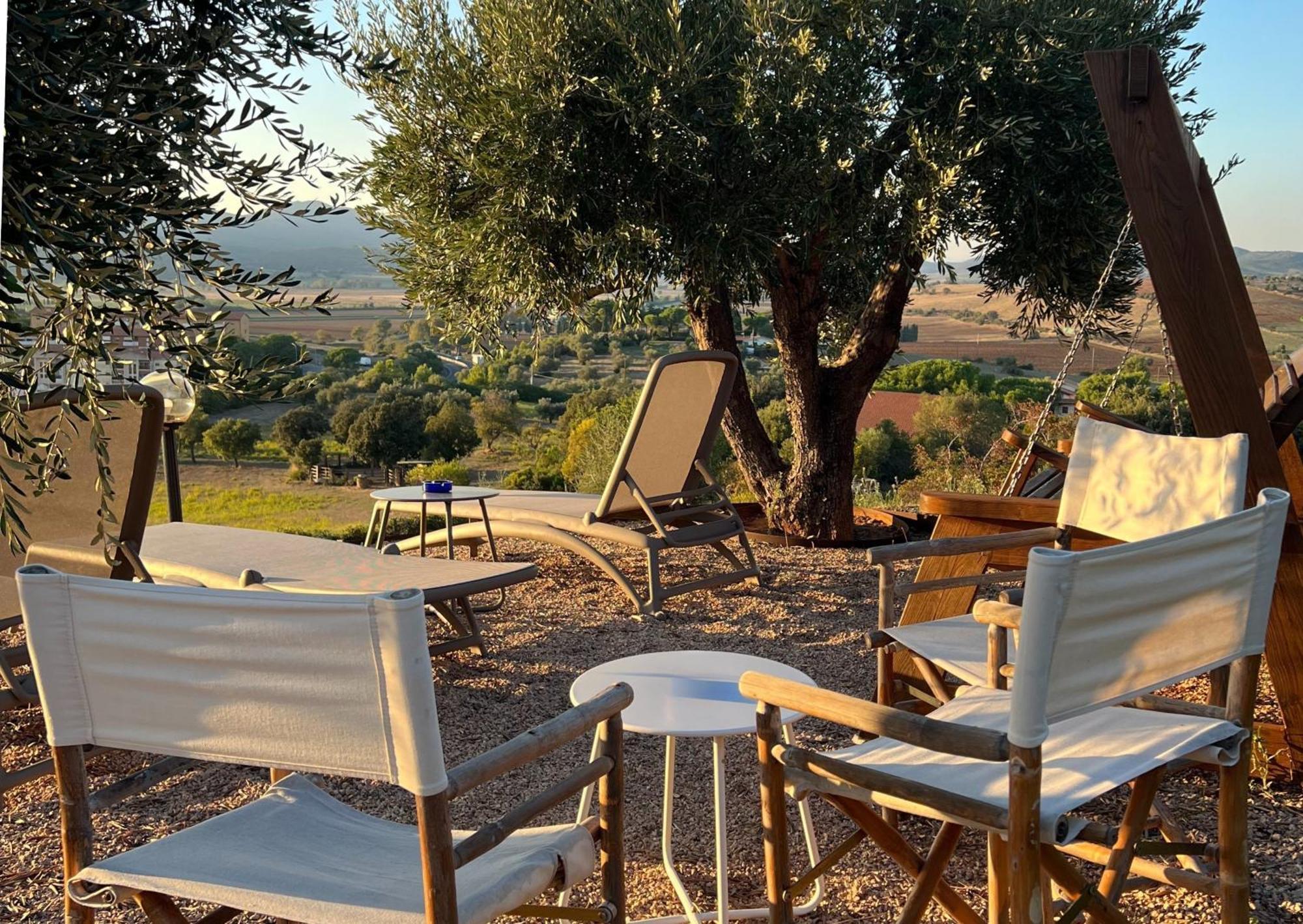 Agriturismo La Vista - Adults Only فونتيبلاندا المظهر الخارجي الصورة