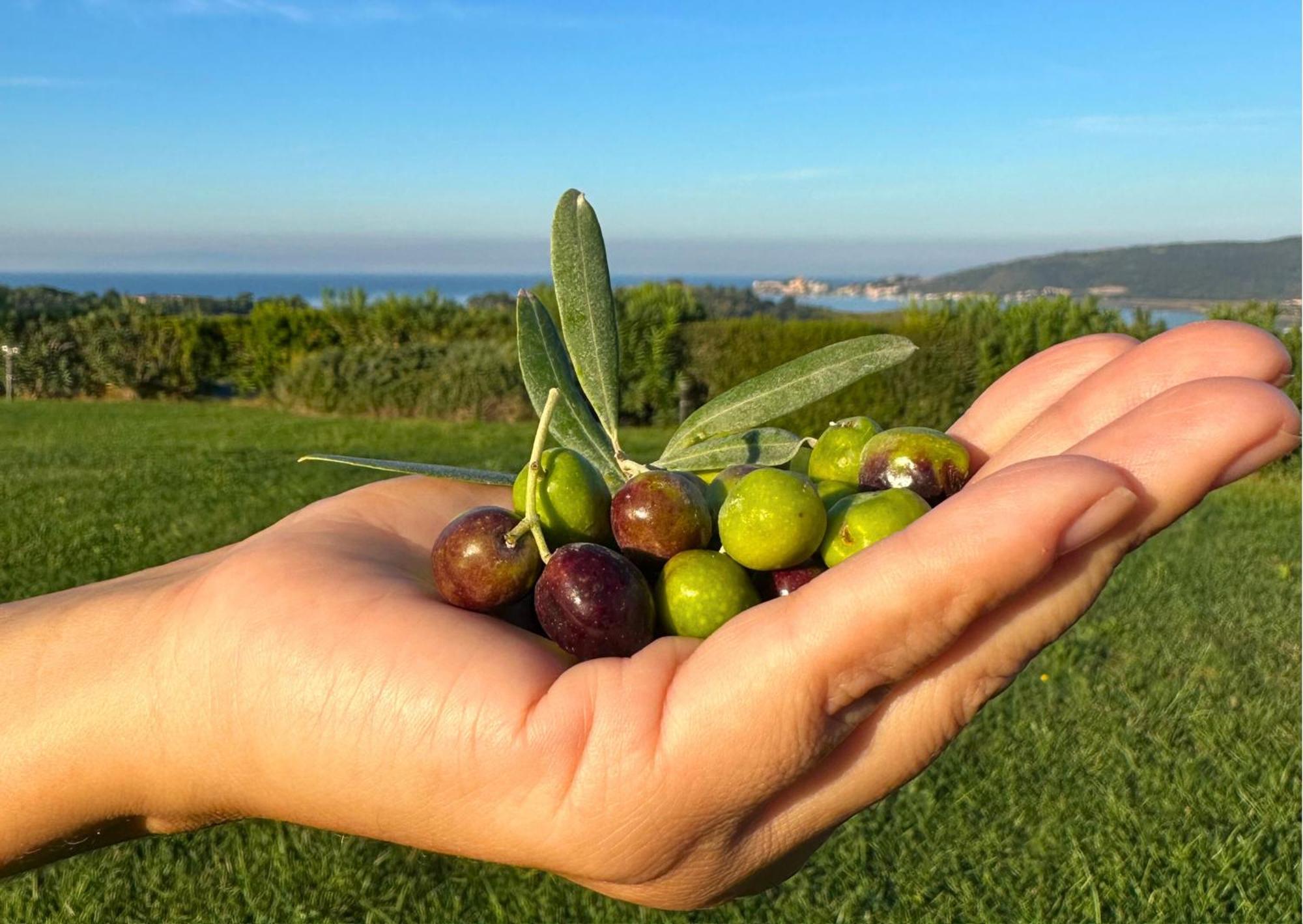 Agriturismo La Vista - Adults Only فونتيبلاندا المظهر الخارجي الصورة
