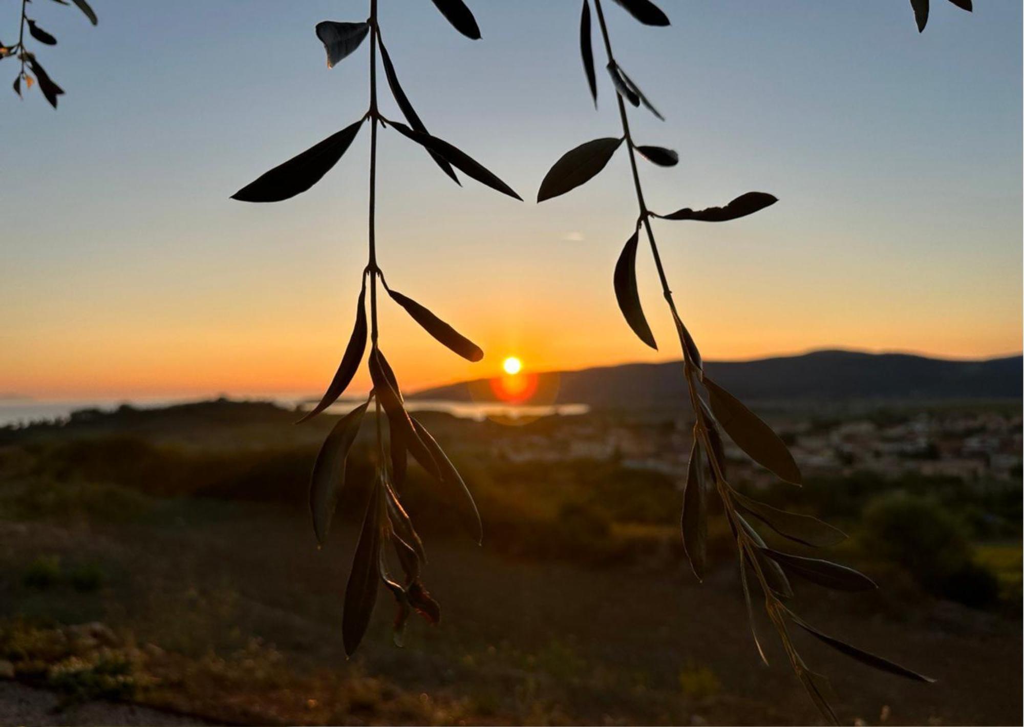 Agriturismo La Vista - Adults Only فونتيبلاندا المظهر الخارجي الصورة